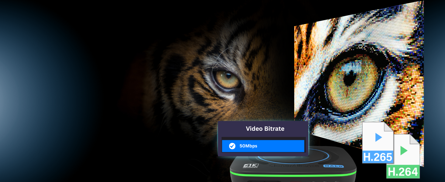 H.265/H.264 Codec Options