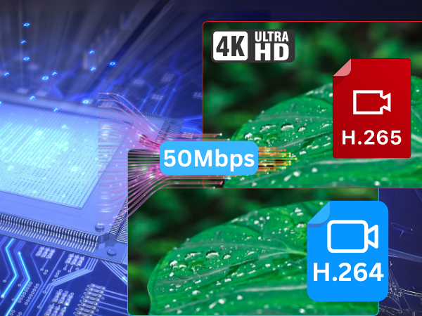 Instant 4K Playback on TV